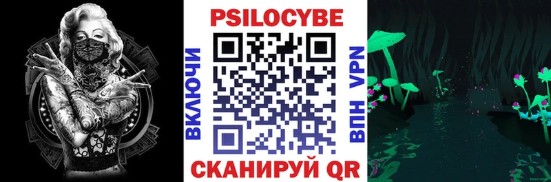 Галлюциногенные грибы Cubensis как найти Бологое